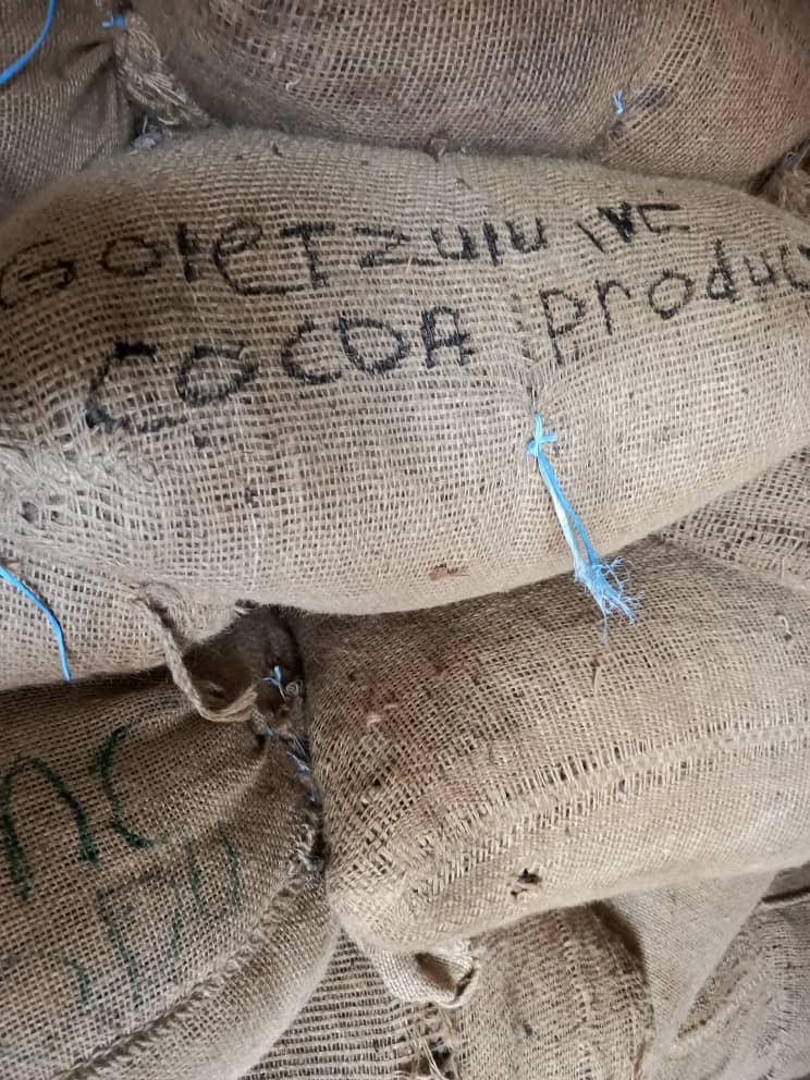 Organic Cocoa Beans