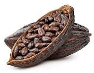 Organic Cocoa Beans